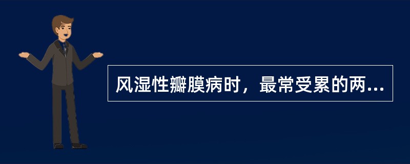 风湿性瓣膜病时，最常受累的两个瓣膜是()