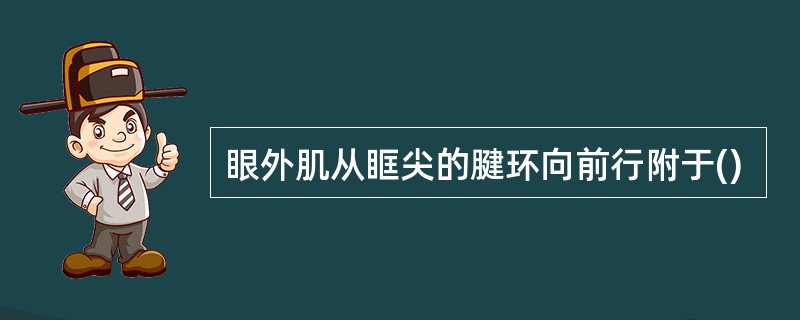 眼外肌从眶尖的腱环向前行附于()