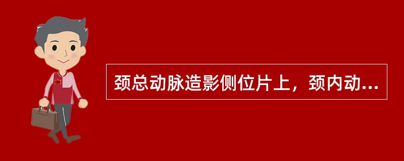 颈总动脉造影侧位片上，颈内动脉起始段常位于颈外动脉的()