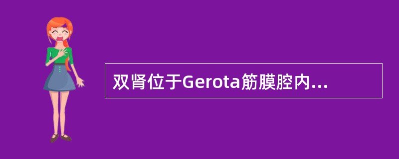 双肾位于Gerota筋膜腔内，其位置关系正确的是()