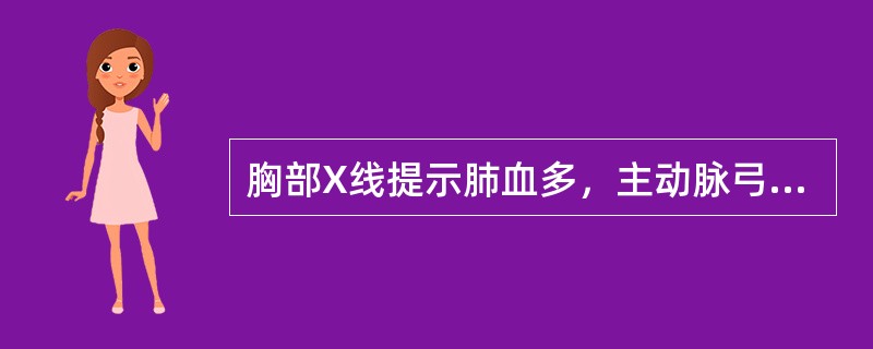 胸部X线提示肺血多，主动脉弓增大（）