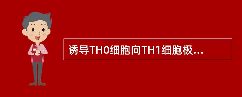 诱导TH0细胞向TH1细胞极化的细胞因子是（）