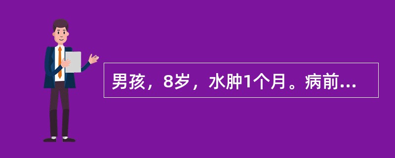 男孩，8岁，水肿1个月。病前有发热、咳嗽，尿蛋白+++～++++，红细胞20～30个／HP，血胆固醇9.9mmol／L，白蛋白2.2g／L（）