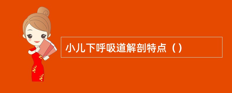 小儿下呼吸道解剖特点（）