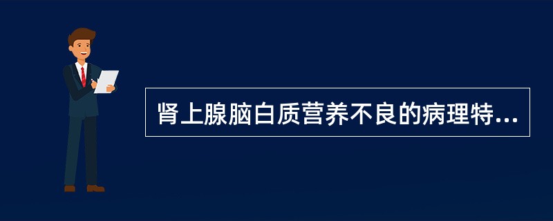 肾上腺脑白质营养不良的病理特点为（）