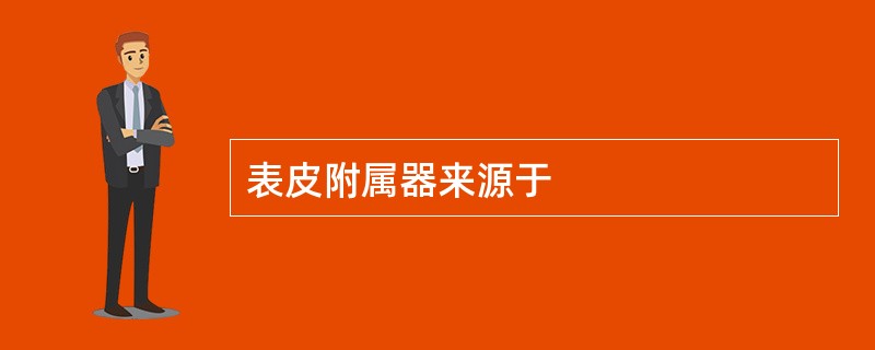 表皮附属器来源于