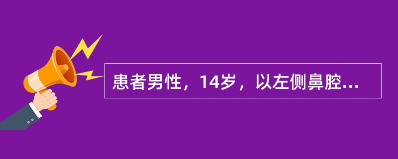 患者男性，14岁，以左侧鼻腔反复出血1年，左侧渐进性鼻塞3个月就诊。患者无耳鸣、听力下降，无外伤史。首先应考虑以下哪种疾病