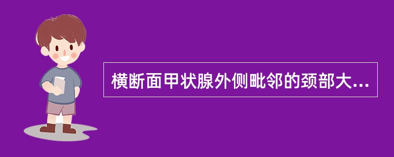 横断面甲状腺外侧毗邻的颈部大血管是