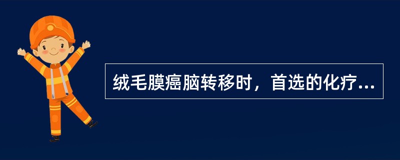 绒毛膜癌脑转移时，首选的化疗药物是（）