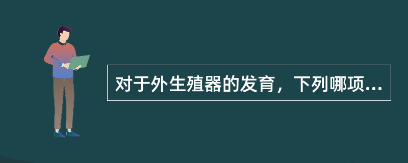 对于外生殖器的发育，下列哪项恰当（）