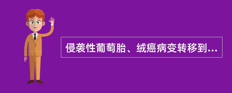 侵袭性葡萄胎、绒癌病变转移到肺（）