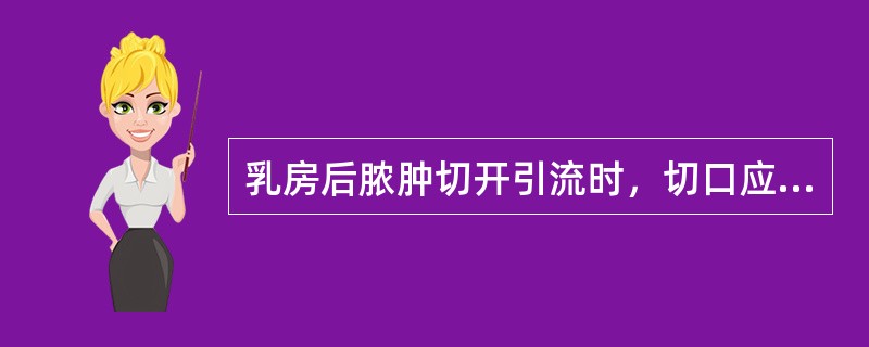 乳房后脓肿切开引流时，切口应是（）