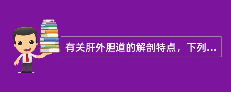 有关肝外胆道的解剖特点，下列不正确的是（）
