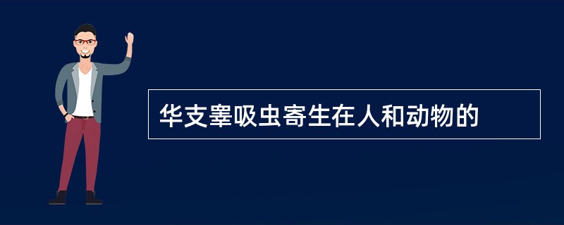 华支睾吸虫寄生在人和动物的