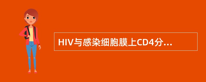 HIV与感染细胞膜上CD4分子结合的病毒刺突是