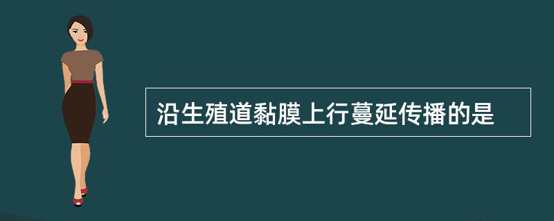 沿生殖道黏膜上行蔓延传播的是