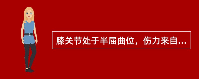 膝关节处于半屈曲位，伤力来自胫骨上段前方，可造成