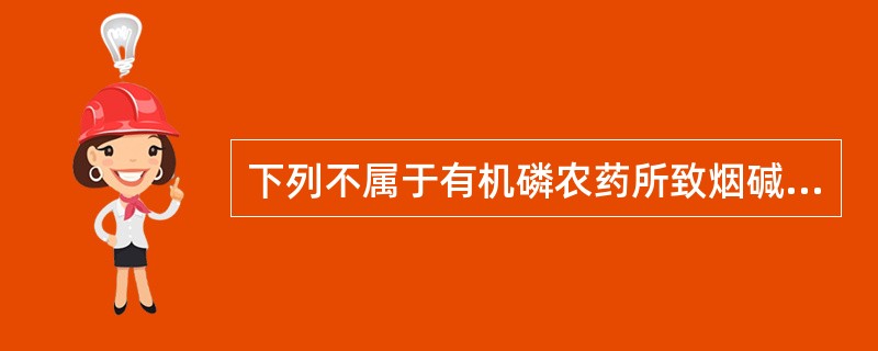 下列不属于有机磷农药所致烟碱样作用的临床表现是