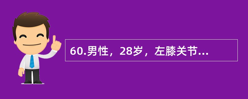 60.男性，28岁，左膝关节肿胀、疼痛，伴低热，盗汗，纳差3个月，查体：消瘦、贫血面容，体温37°，血沉50mm／L，左膝关节梭形肿胀，浮膑试验阳性。X线片示关节间隙增宽，骨质疏松，未见骨质破坏。&l