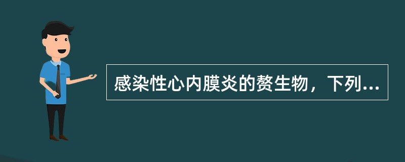 感染性心内膜炎的赘生物，下列哪项说法是错误的