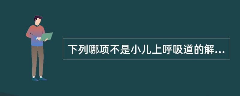 下列哪项不是小儿上呼吸道的解剖特点（）