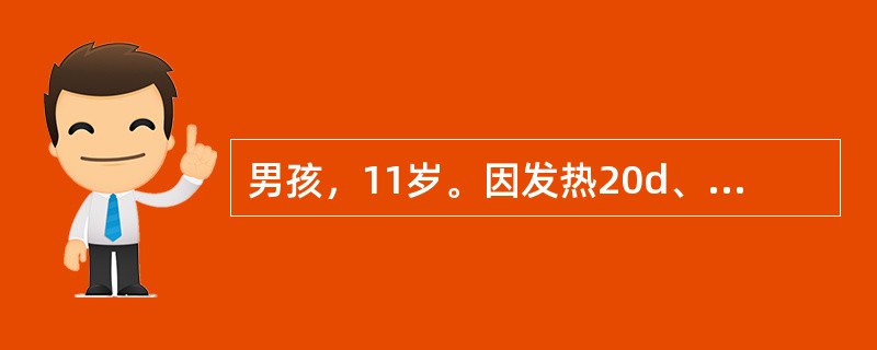 男孩，11岁。因发热20d、纳差、腹胀、便秘于1994年8月入院。体检：体温39.2℃，神志清，表情淡漠，咽稍红，舌苔厚，心、肺无异常，腹略胀，肝肋下2.5cm，剑下4cm，质软，轻压痛，脾肋下2cm