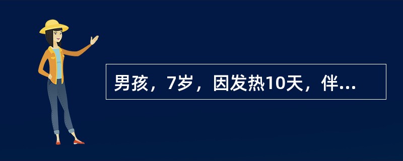 男孩，7岁，因发热10天，伴精神萎靡、纳差、腹胀，大便稀糊状，每日2次，经当地治疗效果欠佳。体检：体温39.5℃，神清，表情淡漠，胸背皮肤有散在性5个玫瑰色斑丘疹，压之退色，心、肺无异常，腹软、略胀，