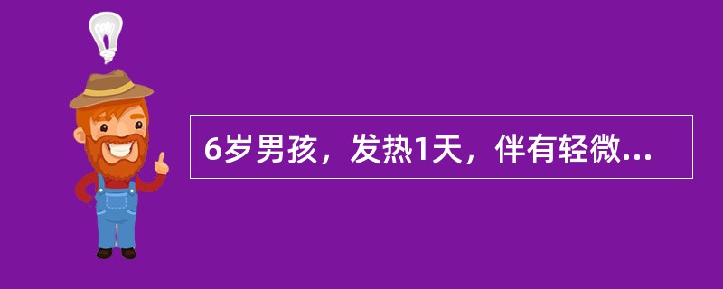 6岁男孩，发热1天，伴有轻微咳嗽、头痛，咽部不适，全身瘙痒，皮肤可见弥漫性、针尖大小的红色皮疹。最有助于诊断的辅助检查是（）