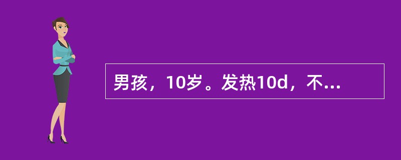 男孩，10岁。发热10d，不咳、纳差、便秘。体检：体温39.6℃，神萎。咽微红，浅表淋巴结呈黄豆大小，心率每分钟80次，心音低钝，肝肋下2cm，剑下2.5cm，胸、腹可见淡红色斑丘疹。（）