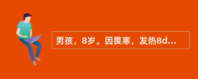 男孩，8岁。因畏寒，发热8d，伴纳差，腹胀、腹痛，大便每天1～2次，略稀，当地医院用青霉素治疗热不退转来。体检：体温39.2℃，神志清，精神萎，表情淡漠，舌苔厚，心、肺无异常，腹略胀，肝肋下2cm，脾