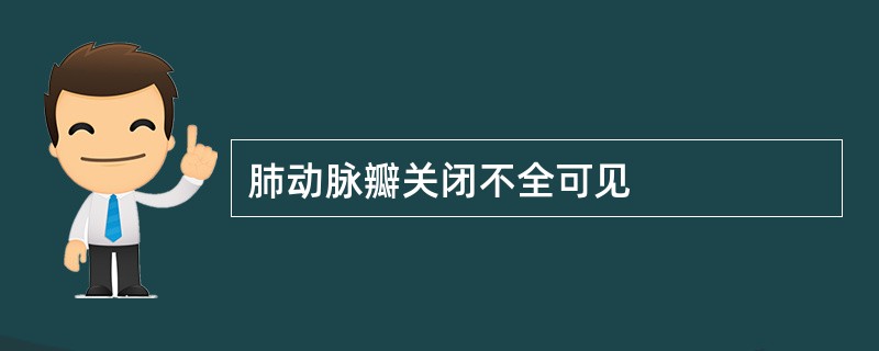 肺动脉瓣关闭不全可见