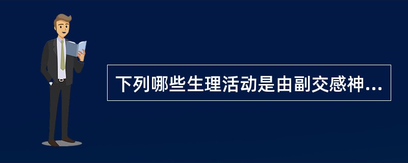 下列哪些生理活动是由副交感神经调节的（）