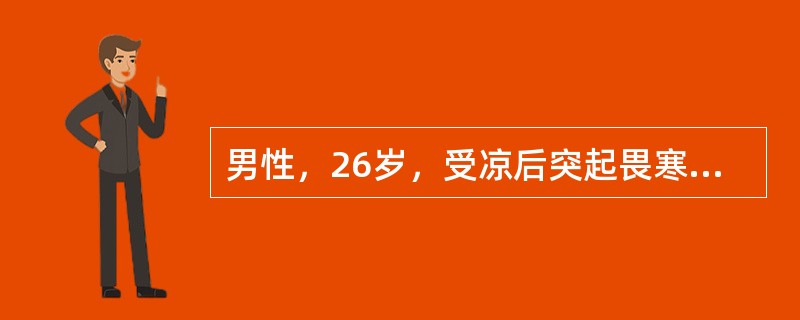 男性，26岁，受凉后突起畏寒、发热，体温39℃，伴左侧胸痛，咳少量白痰。胸透示左下肺野大片淡薄阴影，予以青霉素治疗1天后，体温接近正常。最可能的诊断是