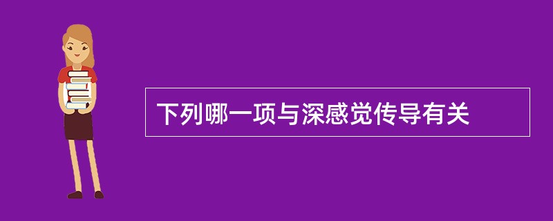 下列哪一项与深感觉传导有关