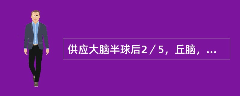 供应大脑半球后2／5，丘脑，内囊后支后1／3，全部脑干和小脑的动脉是