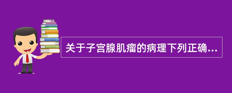 关于子宫腺肌瘤的病理下列正确的是（）