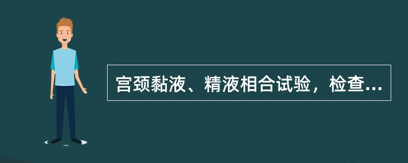 宫颈黏液、精液相合试验，检查时间是（）