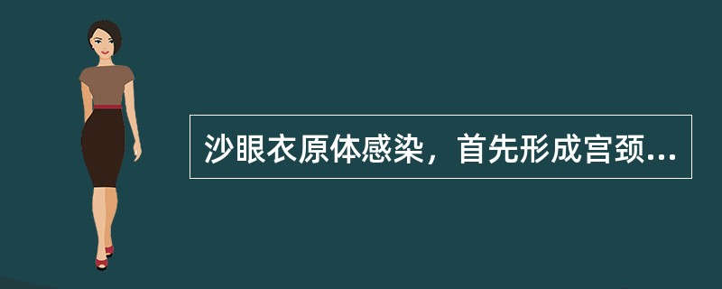 沙眼衣原体感染，首先形成宫颈炎症的原因是（）