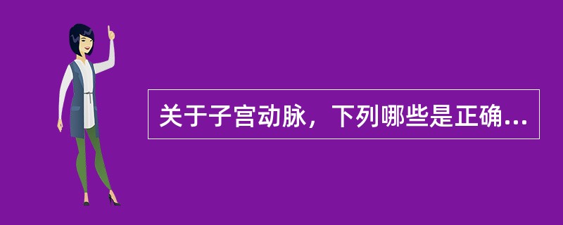 关于子宫动脉，下列哪些是正确的（）