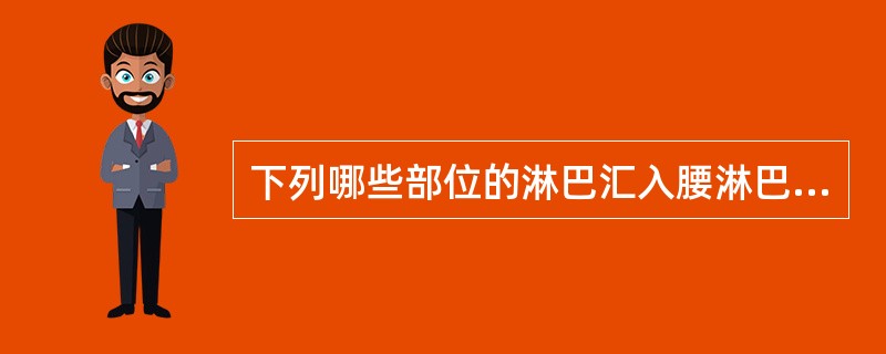 下列哪些部位的淋巴汇入腰淋巴结（）