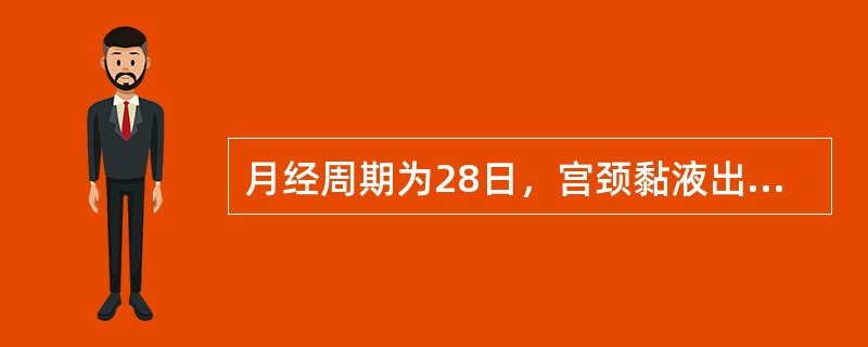 月经周期为28日，宫颈黏液出现清晰而典型的羊齿植物叶状结晶，相当于月经周期的（）