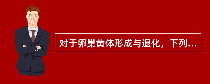 对于卵巢黄体形成与退化，下列哪项叙述不恰当（）