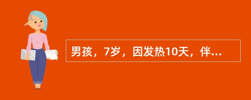 男孩，7岁，因发热10天，伴精神萎靡、纳差、腹胀，大便稀糊状，每日2次，经当地治疗效果欠佳。体检：体温39.5℃，神清，表情淡漠，胸背皮肤有散在性5个玫瑰色斑丘疹，压之退色，心、肺无异常，腹软、略胀，