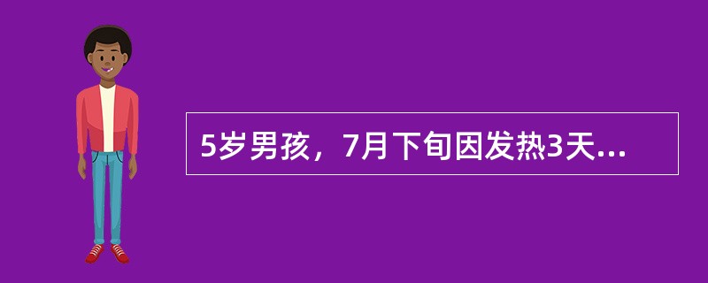 5岁男孩，7月下旬因发热3天，呕吐8次，抽搐6次，神志不清入院。体检：体温41℃，昏迷状，压眶无反应，面色苍白，呼吸每分钟25次，心率每分钟136次，两肺可闻及痰鸣音，颈有抵抗，克氏征、布氏征均阳性，