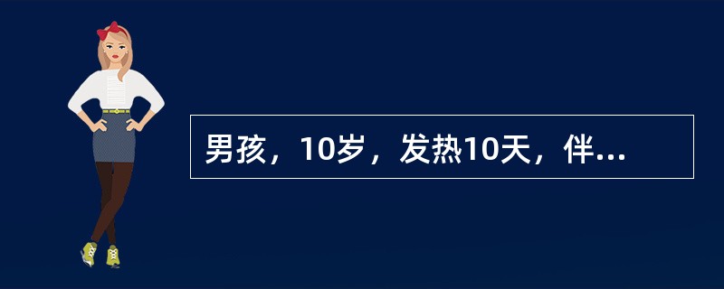 男孩，10岁，发热10天，伴纳差、腹胀、便秘。体检：体温39.6℃，精神萎靡，咽微红，浅表淋巴结呈黄豆大小，心率每分钟80次，心音低钝，肝肋下2cm，剑下2.5cm，胸、腹可见淡红色斑丘疹。可能的诊断