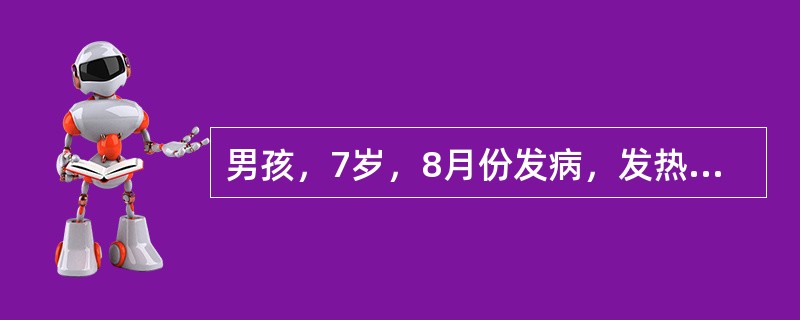 男孩，7岁，8月份发病，发热、腹泻20小时，伴呕吐2次，初为稀糊状便，后为黏液脓血便，每次腹泻前均有腹痛。T39℃，心、肺无异常，腹不胀，腹软，左下腹压痛，无肌紧张及反跳痛，四肢温暖。大便镜检WBC1