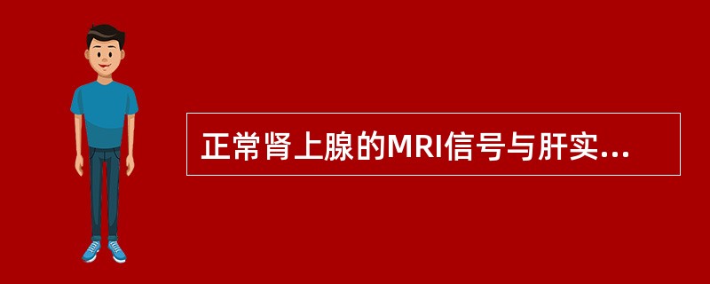 正常肾上腺的MRI信号与肝实质信号强度相比（）