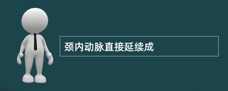 颈内动脉直接延续成