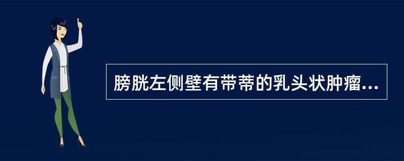 膀胱左侧壁有带蒂的乳头状肿瘤5cm，最佳的治疗方法是（）