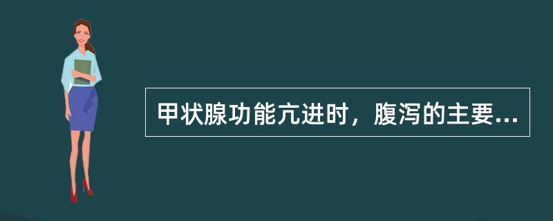 甲状腺功能亢进时，腹泻的主要发生机制是